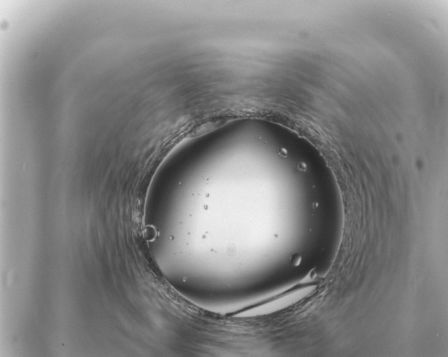 X0000086980672200704231821