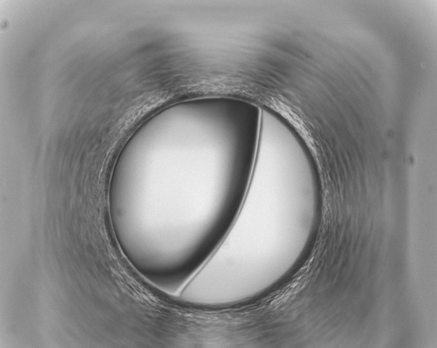 X0000086980673200704231820