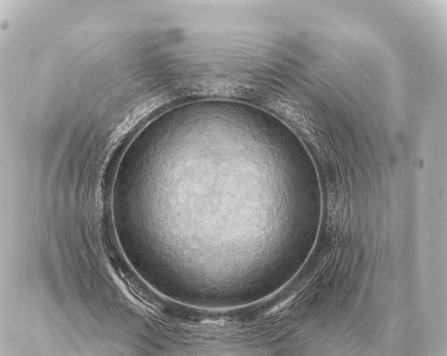 X0000086980674200704231820