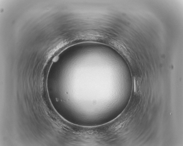 X0000086980675200704231820