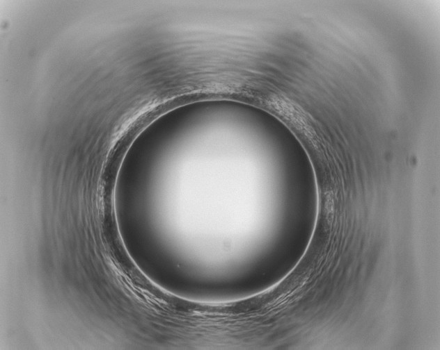 X0000086980676200704231820