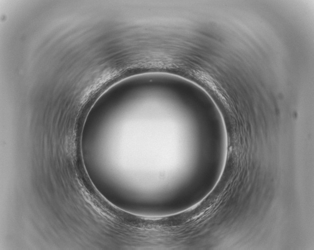 X0000086980677200704231820