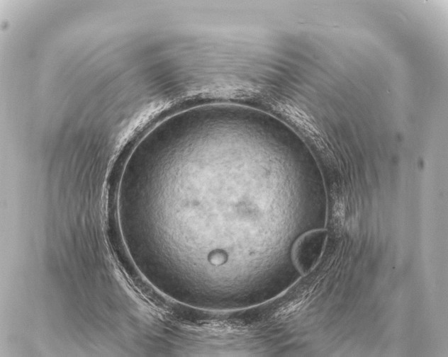 X0000086980678200704231820