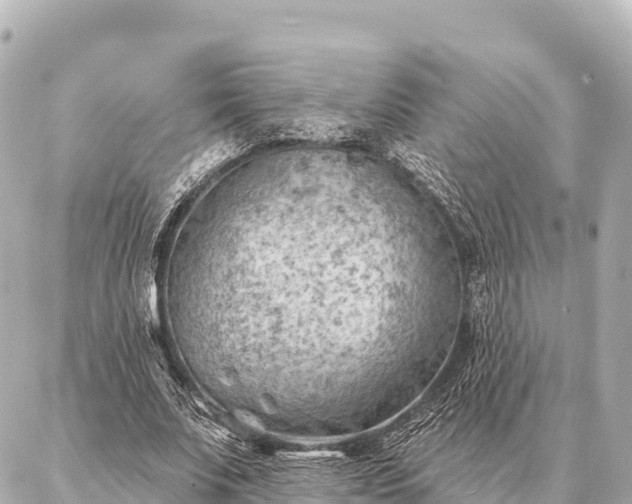 X0000086980679200704231820