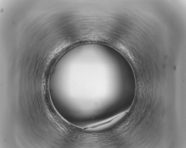 X0000086980680200704231820