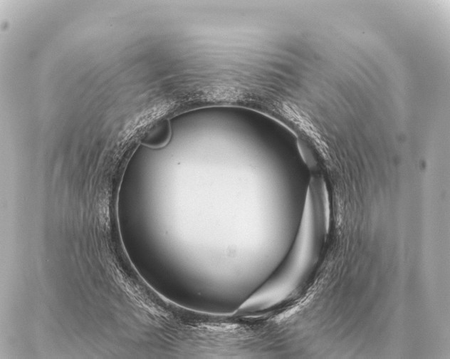 X0000086980681200704231820