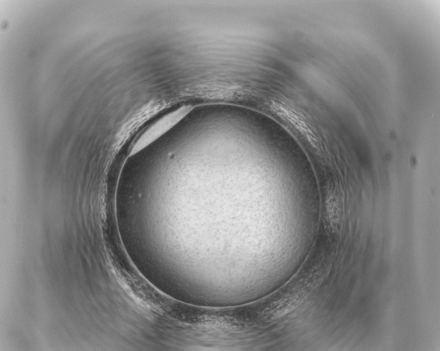 X0000086980682200704231820