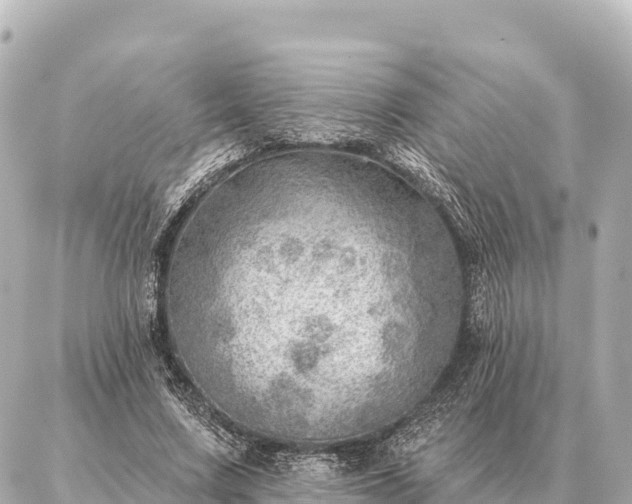 X0000086980683200704231820