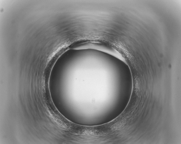 X0000086980684200704231820