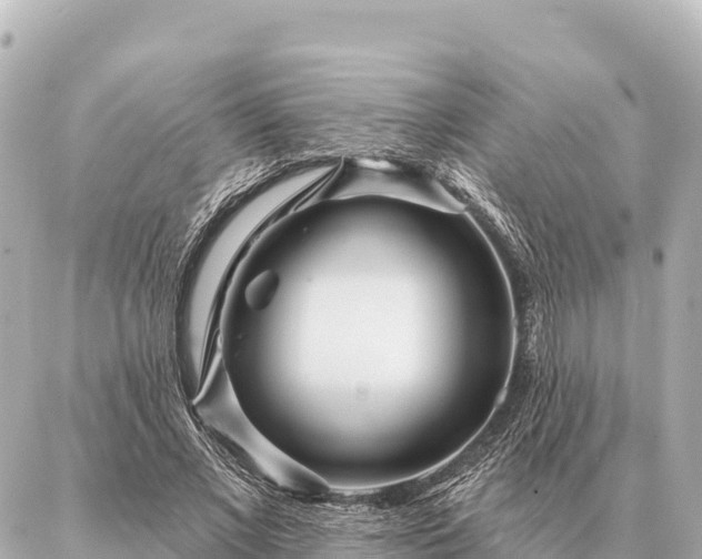 X0000086980685200704231820