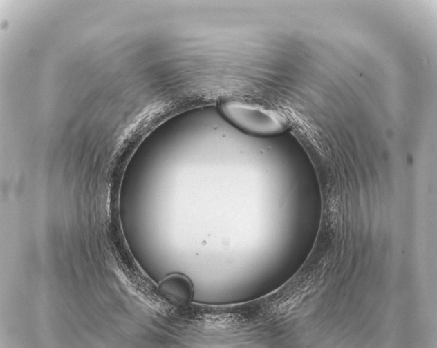 X0000086980686200704231820