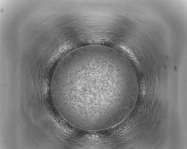 X0000086980687200704231820