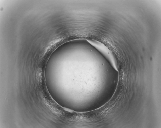 X0000086980688200704231820