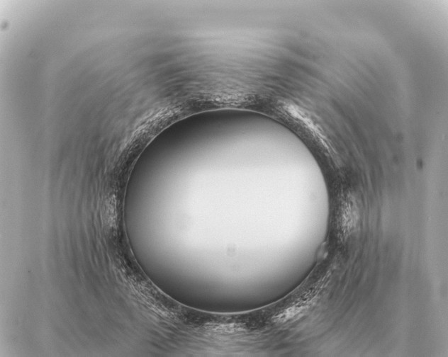 X0000086980689200704231820