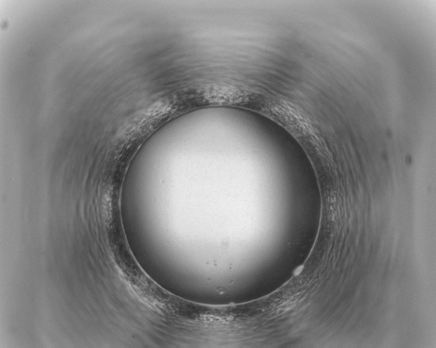 X0000086980690200704231820