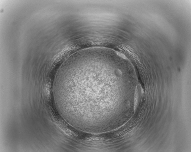 X0000086980691200704231820