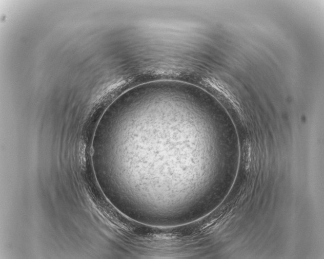 X0000086980692200704231820