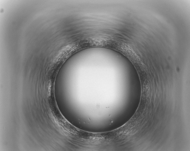 X0000086980694200704231820