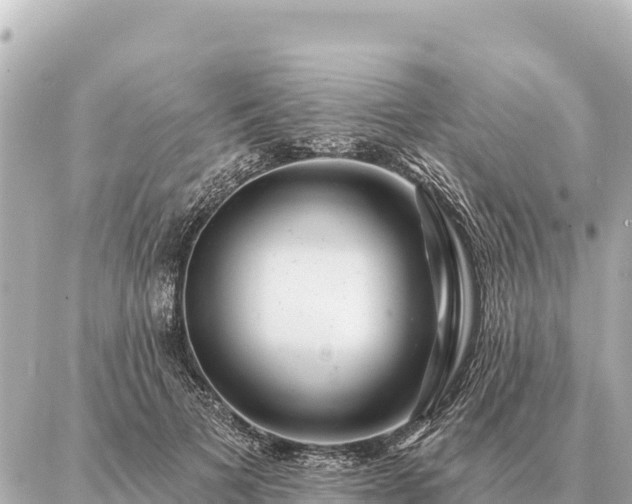 X0000086980697200704231820