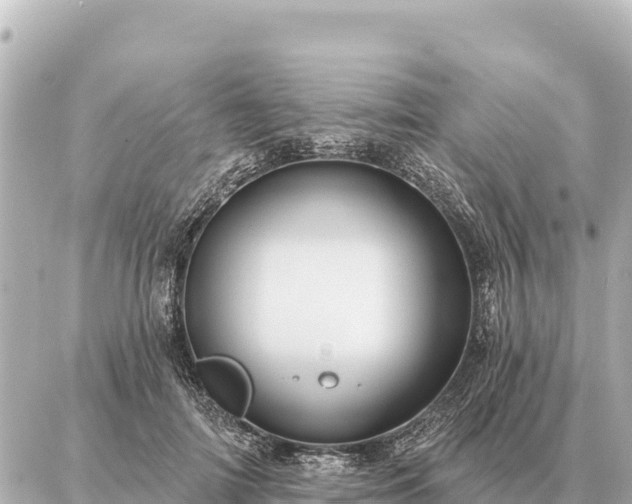 X0000086980698200704231820