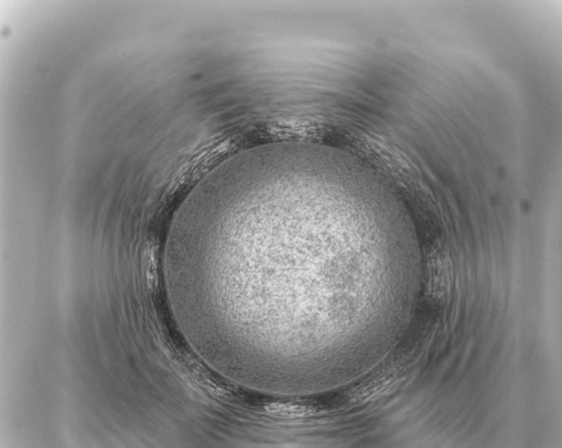 X0000086980699200704231820