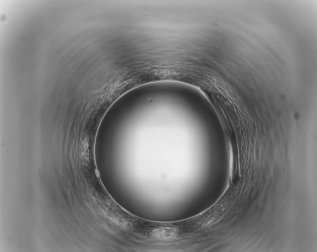 X0000086980700200704231820