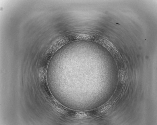 X0000086980701200704231820