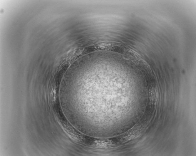 X0000086980703200704231819