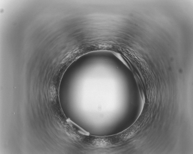 X0000086980704200704231819