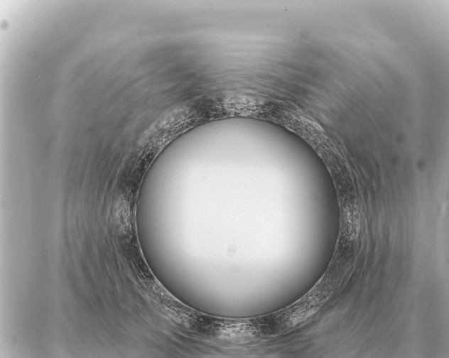 X0000086980705200704231819