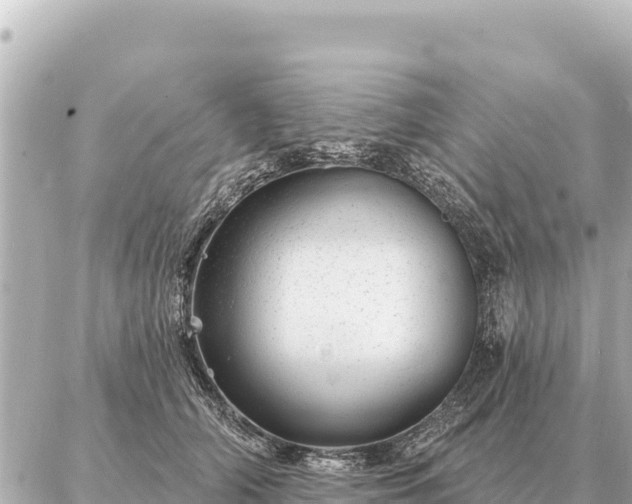 X0000086980706200704231819