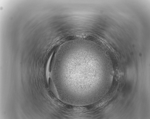 X0000086980707200704231819