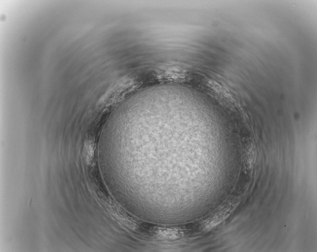 X0000086980709200704231819