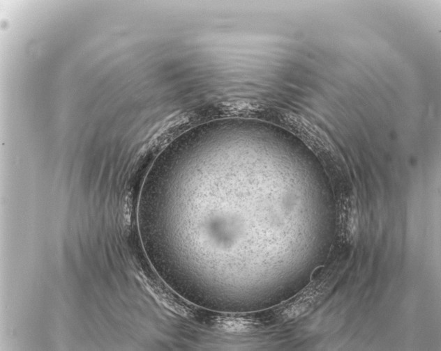 X0000086980710200704231819