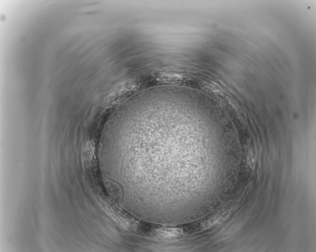 X0000086980711200704231819