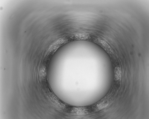 X0000086980713200704231819