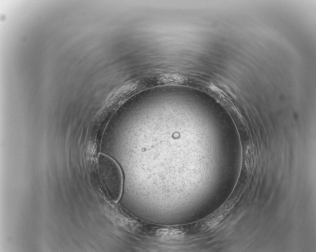 X0000086980714200704231819