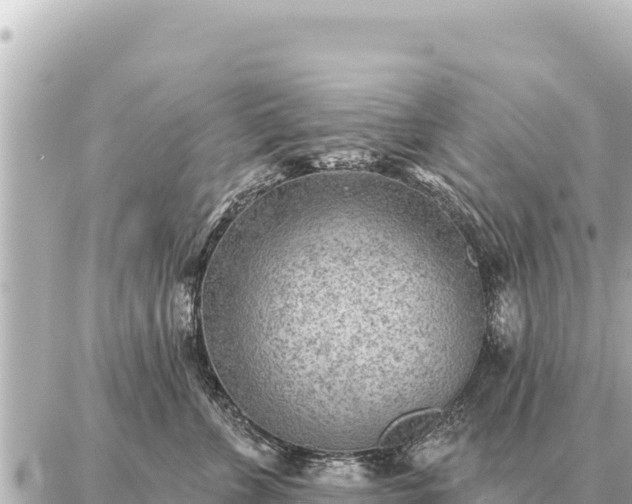 X0000086980715200704231819