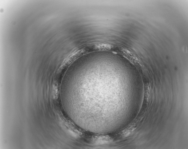 X0000086980716200704231819