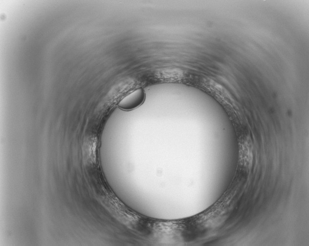 X0000086980717200704231819