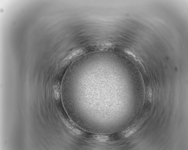 X0000086980719200704231819