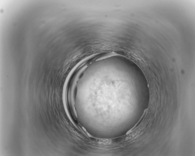 X0000086980720200704231819