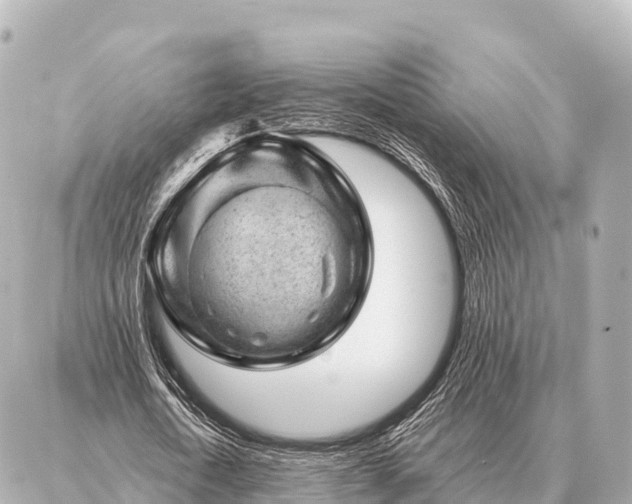 X0000086980722200704231818