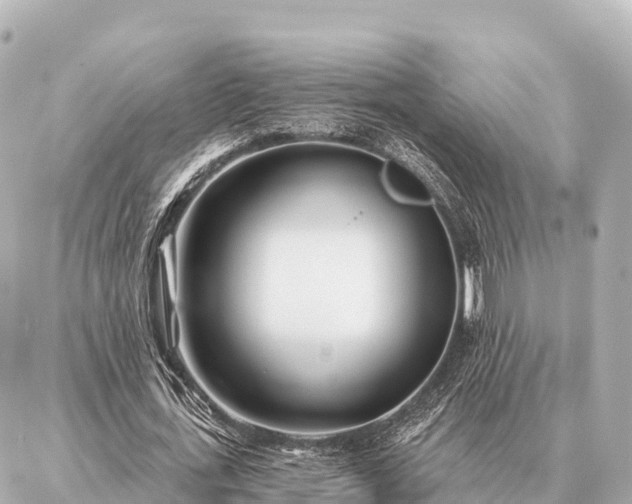 X0000086980723200704231818