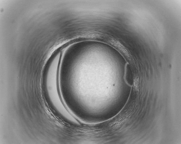 X0000086980724200704231818