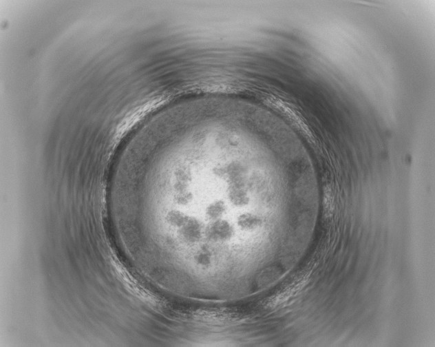 X0000086980725200704231818