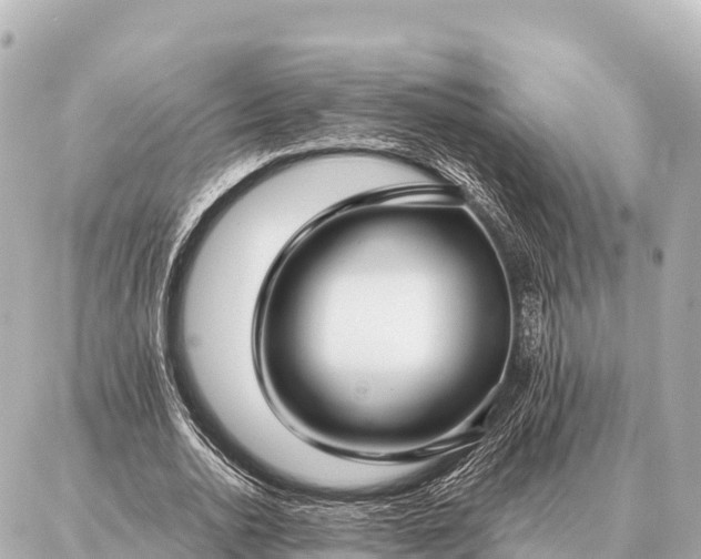 X0000086980726200704231818