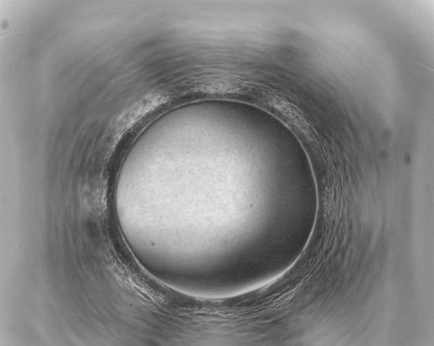 X0000086980727200704231819