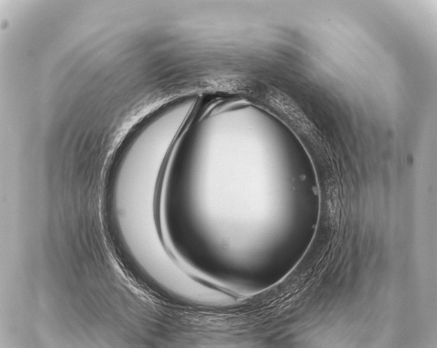 X0000086980728200704231819