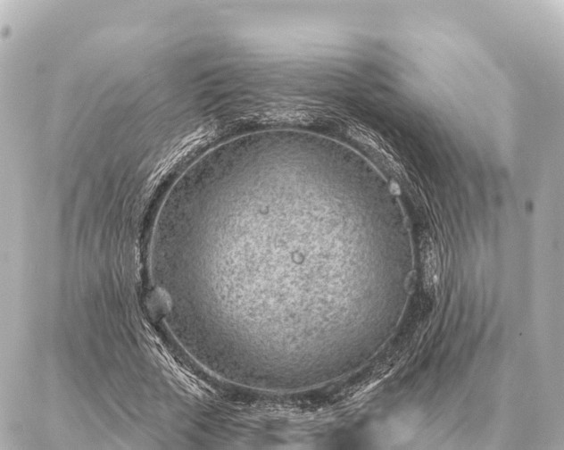 X0000086980729200704231819